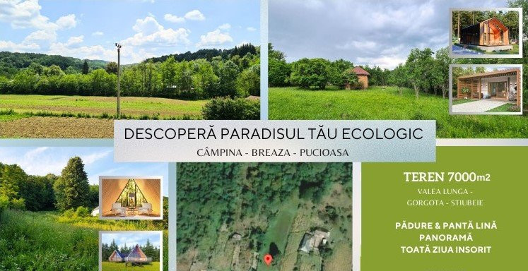 Descoperă Paradisul Tău Ecologic în Valea Lungă Gorgota!